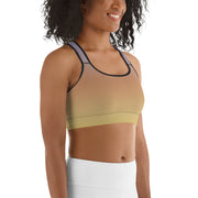 Lilac Fade Sports bra