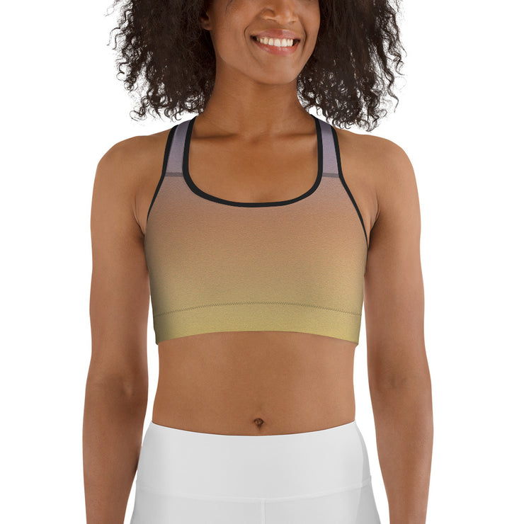 Lilac Fade Sports bra