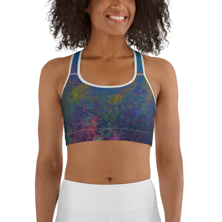 Aquarium Sports bra